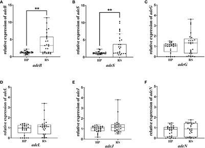 Emergence of eravacycline heteroresistance in carbapenem-resistant Acinetobacter baumannii isolates in China